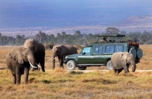 safari-i-tanzania